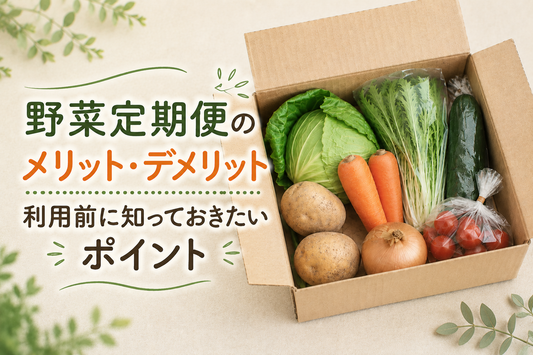 野菜定期便のメリット・デメリット｜利用前に知っておきたいポイント