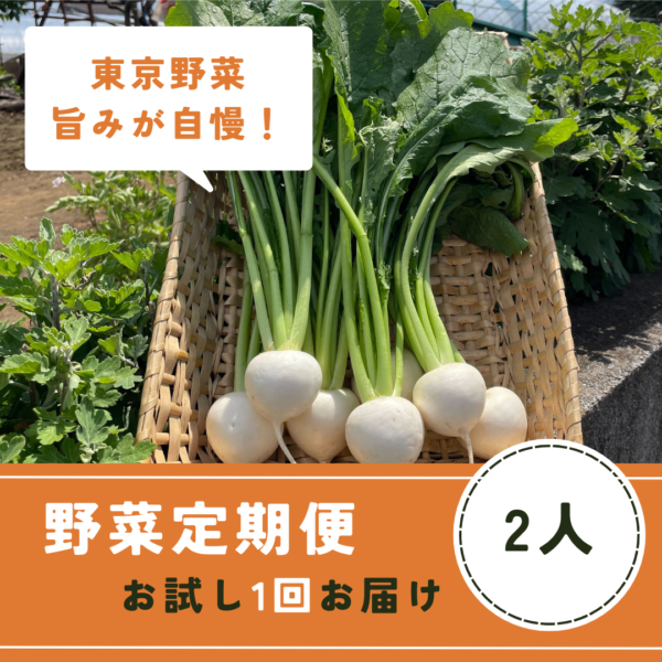 季節の野菜詰め合わせ２人分 お試し1回分