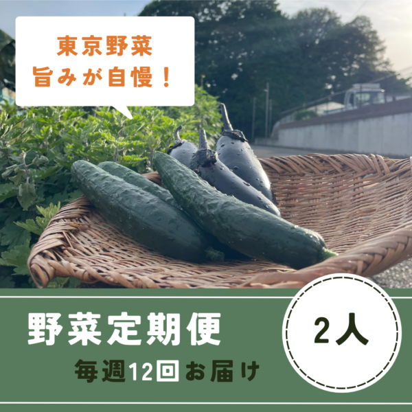 季節の野菜詰め合わせ２人分 ３か月 [毎週発送] 12回分