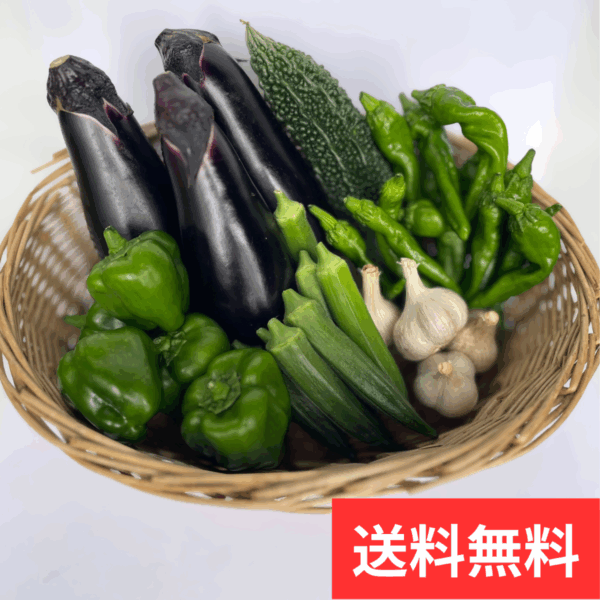 【初回限定｜送料無料】野菜定期便ベーシック（1〜2人向け）