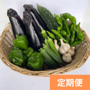 野菜定期便ベーシック（1～3か月）