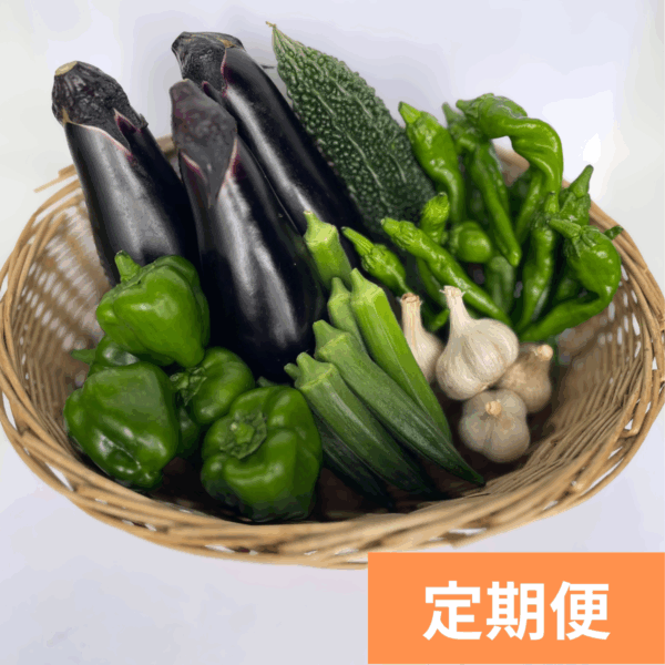 野菜定期便ベーシック（1～3か月）
