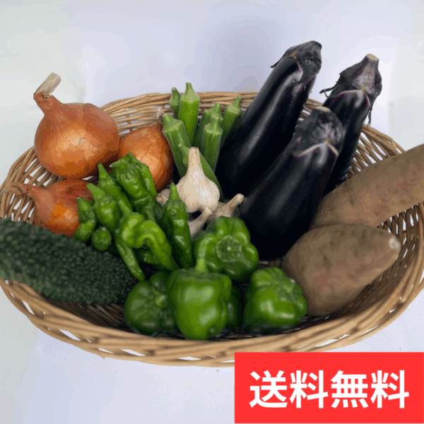 【初回限定｜送料無料】野菜定期便プレミアム（ファミリー向け）