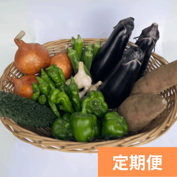 野菜定期便プレミアム（1～3か月）