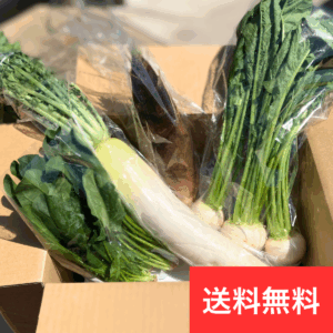 【初回限定｜送料無料】野菜定期便プレミアム（ファミリー向け）