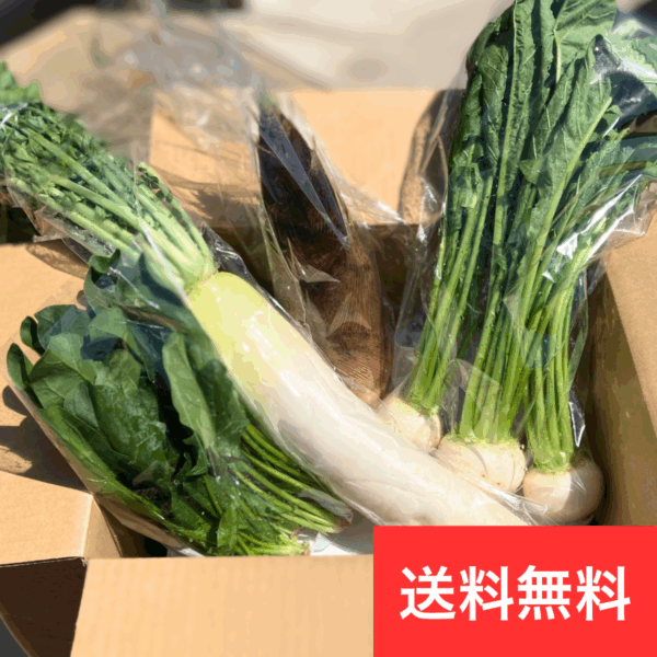 【初回限定｜送料無料】野菜定期便プレミアム（ファミリー向け）