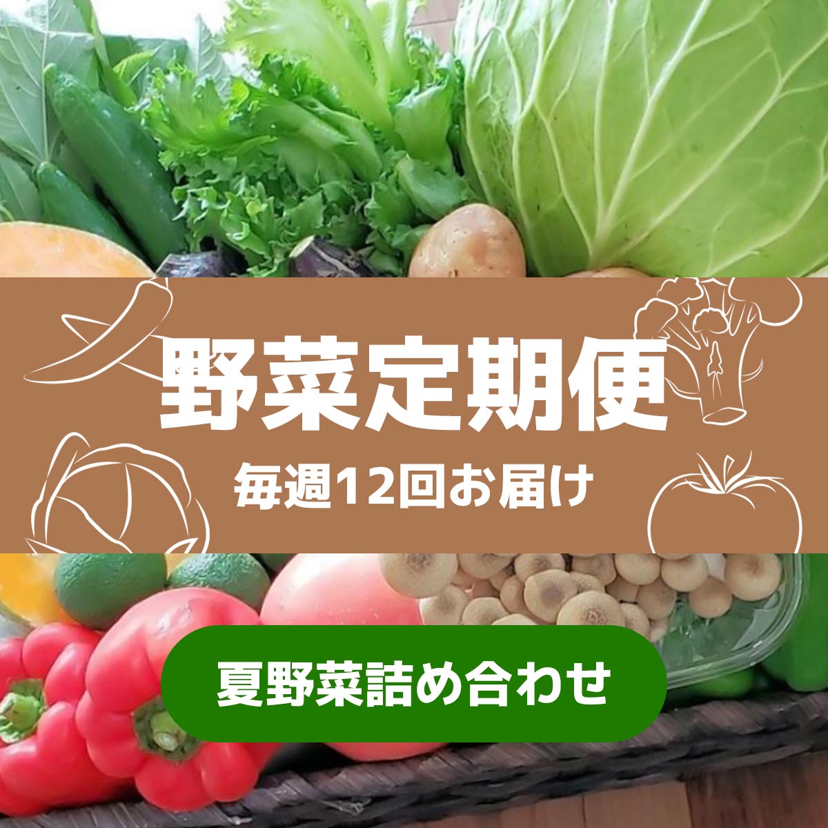 野菜定期便12回